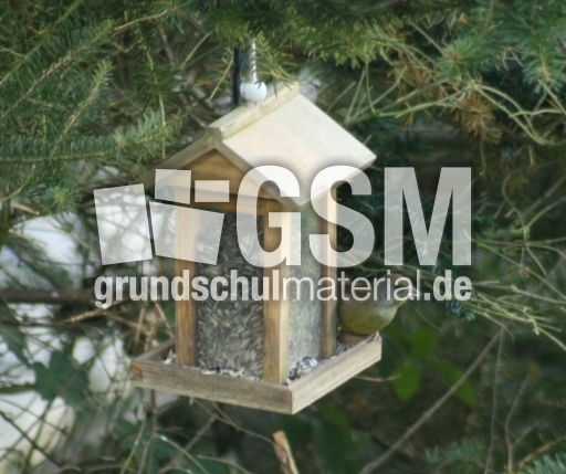 Am-Vogelhäuschen-2.jpg